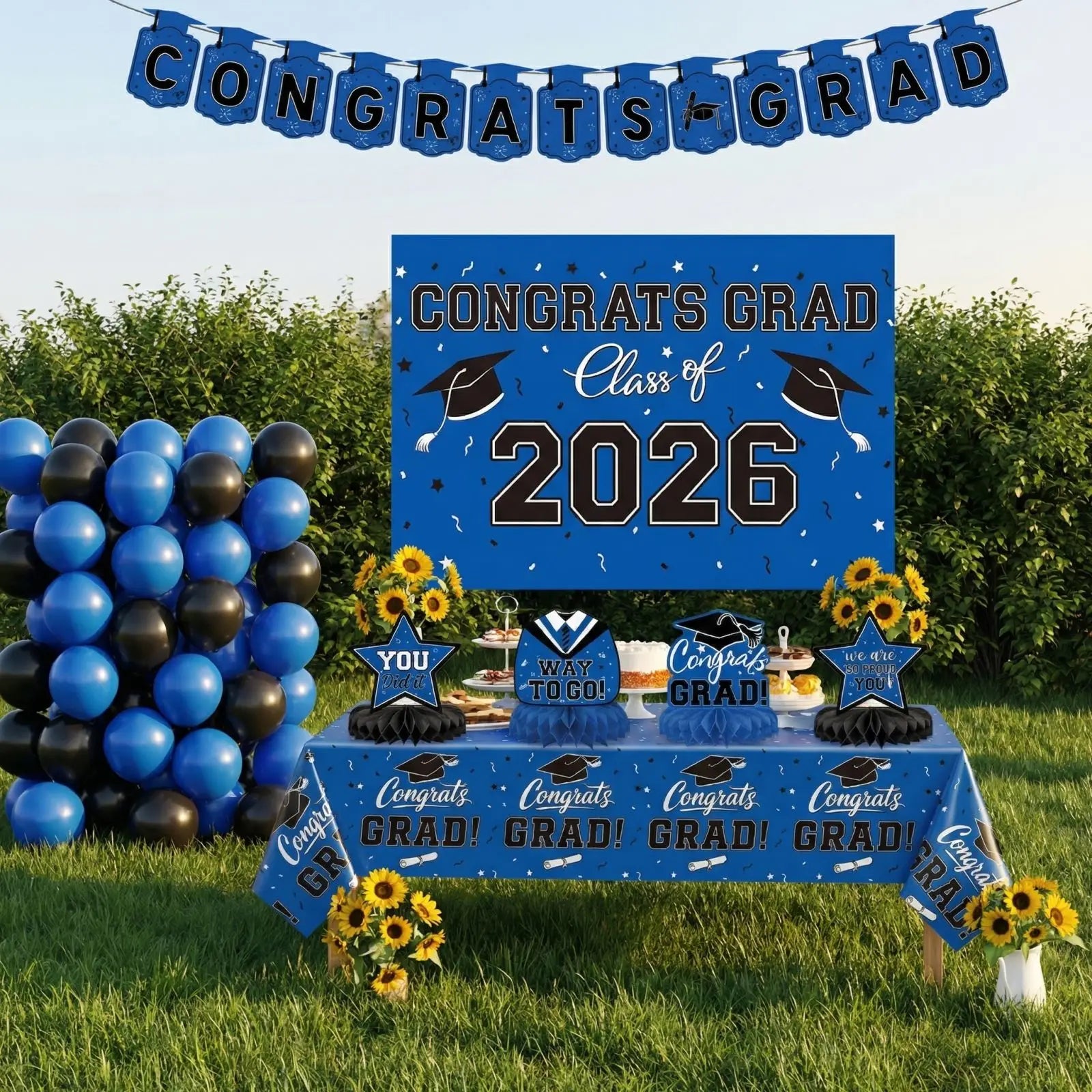 Graduation Theme Party Decoration Set Blue Serise Tablecloth Plate Balloon Set Photography background Decor Props Qme