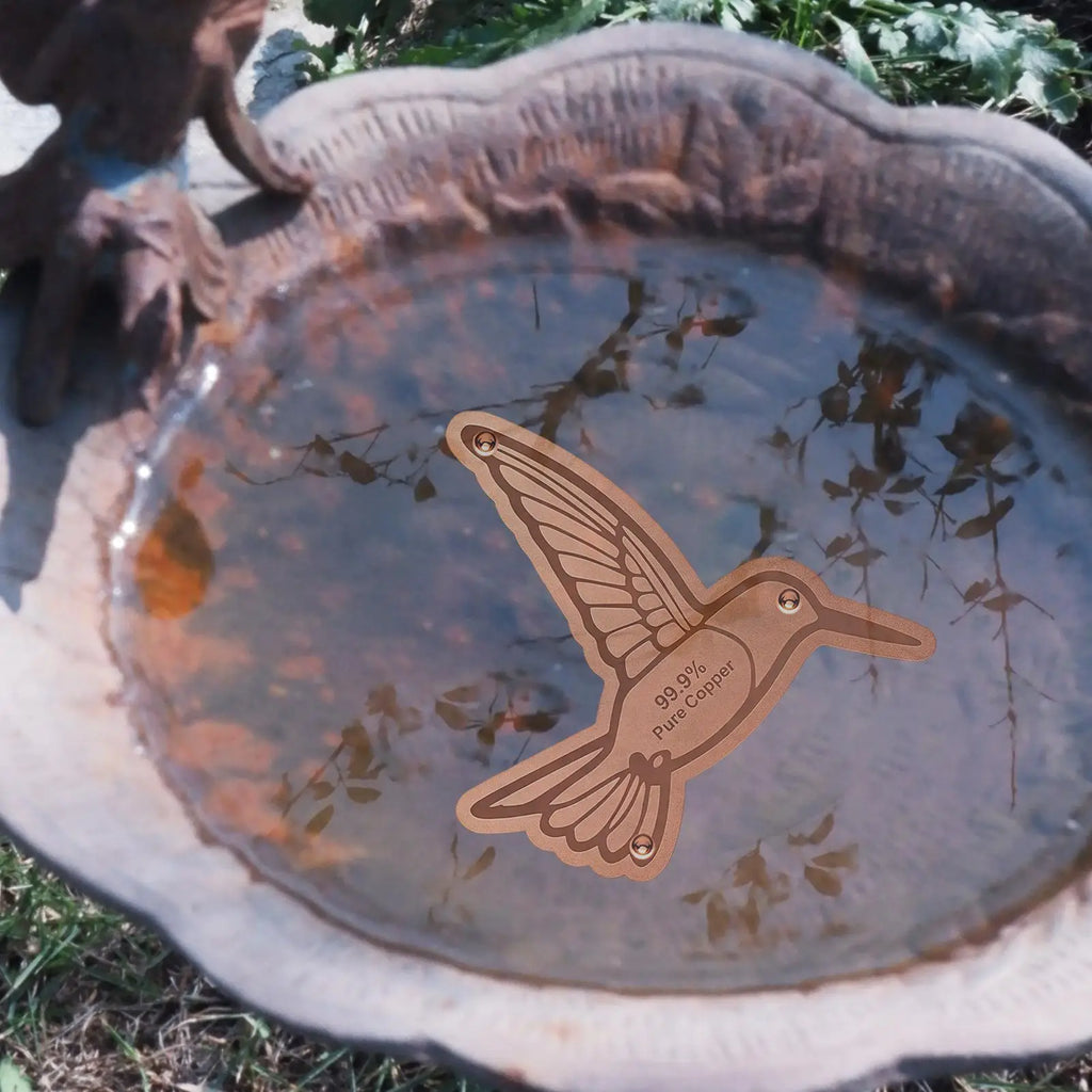 Copper Bird Disc Portable Safe Cleaning Bowl Dish Bath Outside Qme