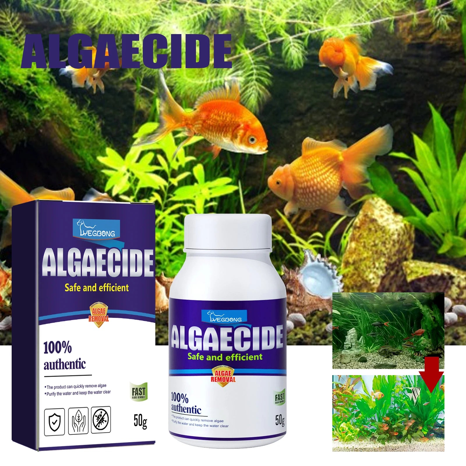 YEGBONG Algae Removal Agent Effectively Remove Algae Purify Water Quality Prevent Water Pollution Fish Tank Algae Removing Moss Qme