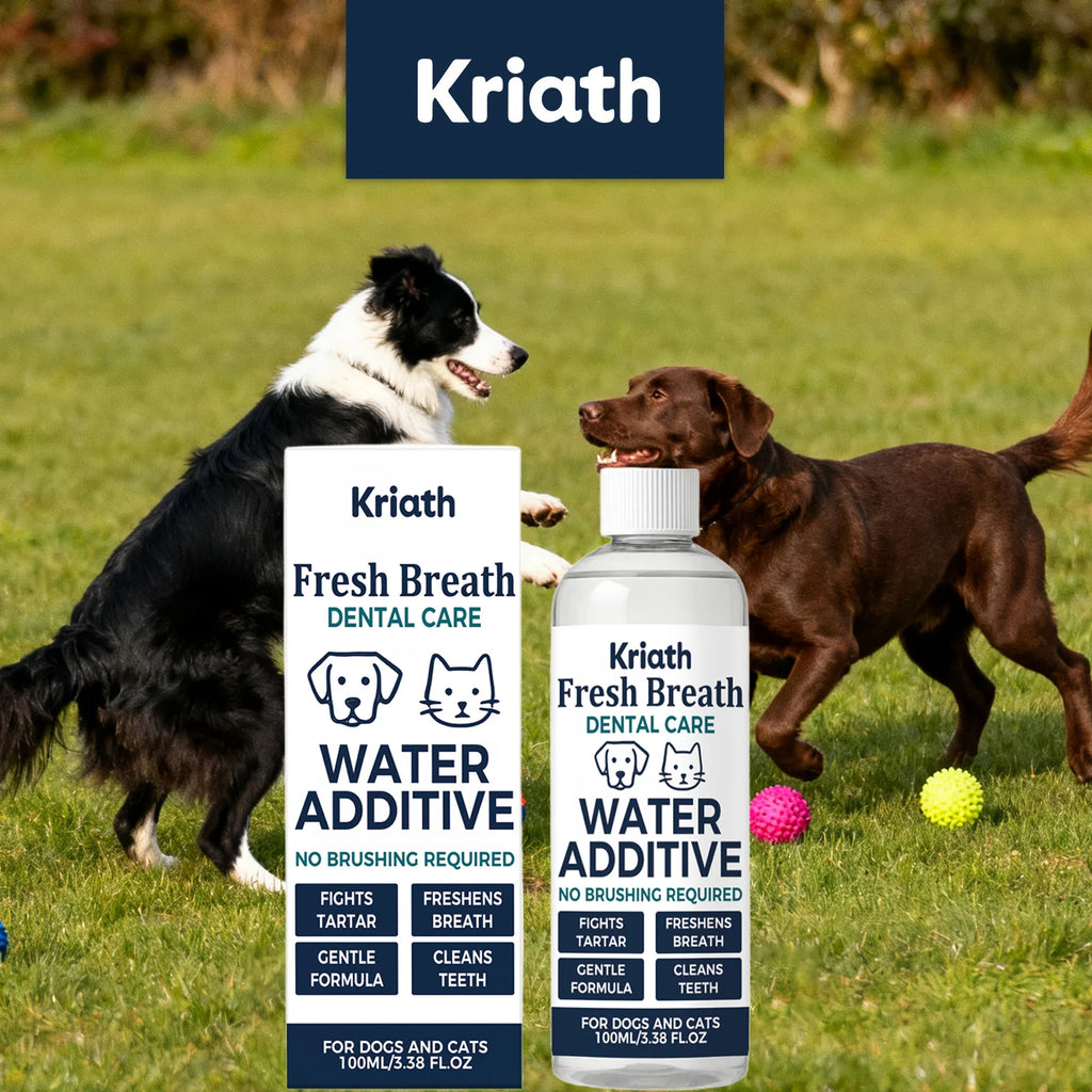 Drinkable Pet Mouthwash Removing Dental Plaque & Tartar Fresh Breath Plant Formula No Brushing Dogs & Cats Dental Care Solution Qme Default Title