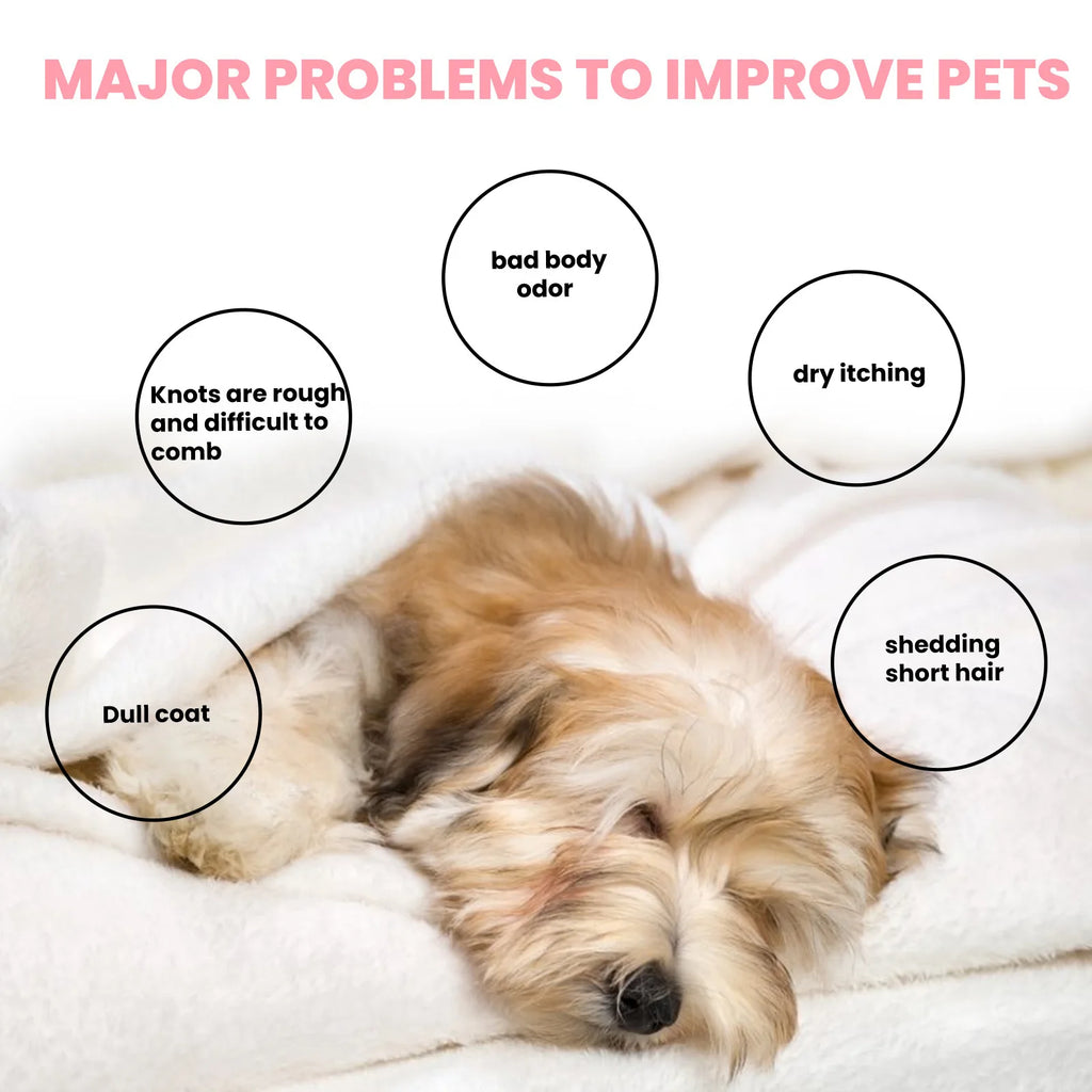 Pet Soap Dogs Hair Softening Flea Lice Insect Killer Cats Mite Removal Itching Relieve Skin Treatment Moisturizing Pet Shampoo Qme