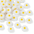 Pandahall 40Pcs 10mm Sunflower Resin Beads White Daisy Flower Beads Summer Plant Spacer Beads for DIY Keychains Jewelry Making Qme Default Title