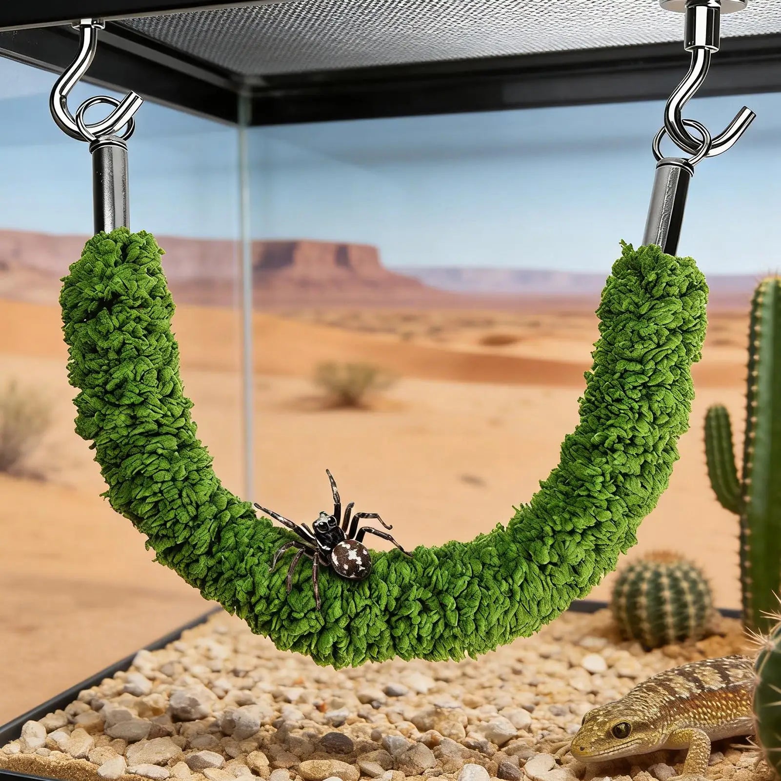 Jumping Spider Bridge Hermit Crab Climbing Supplies Spider Enclosure Bridge Swings for Pet Keepers Teachers Nature Lovers Qme