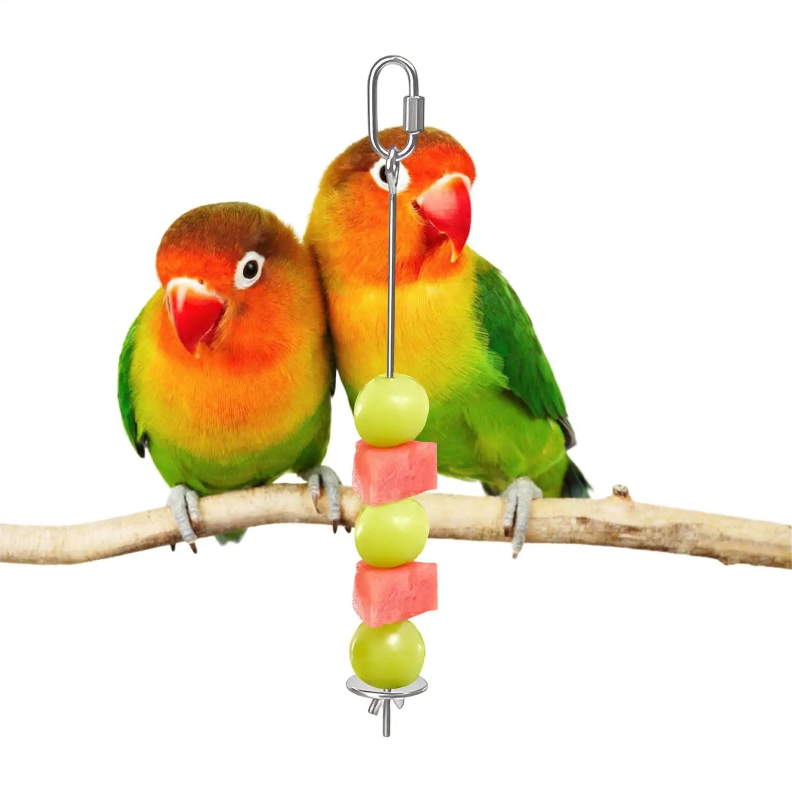 1pcs Bird Cage Food Skewer Stainless Fruit Stick Holder Bird Food Holder For Cage Foraging Macaw Parakeet Cockatiel Conure Finch Qme