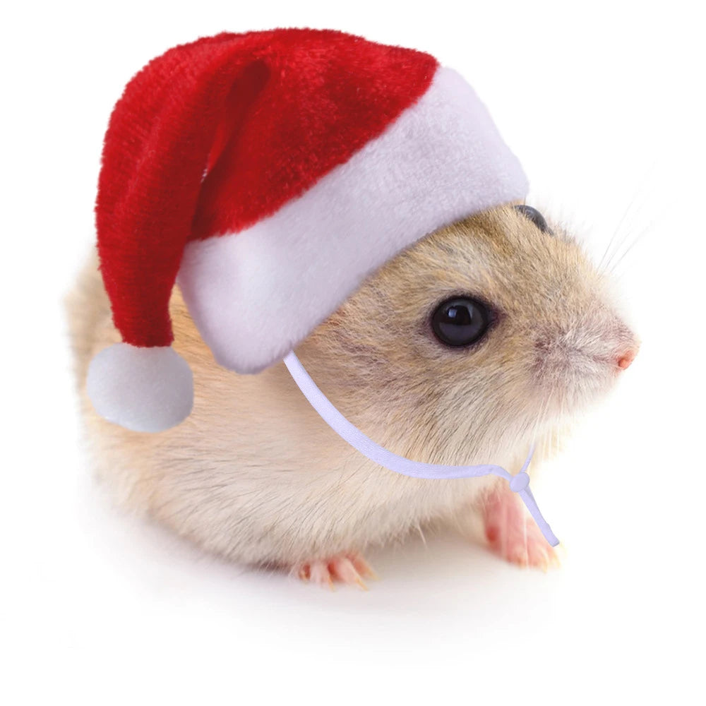 Hamster Hat, Mole Rat Christmas Hat, Little Red Riding Hood, Small Pet Funny Headwear Qme