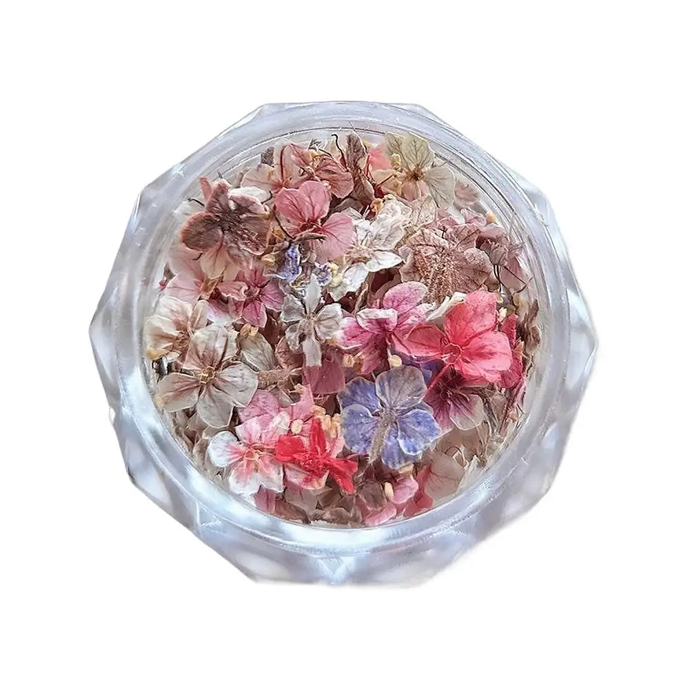 1 Box 3D Dried Flowers Nail Art Stickers Decals Mix Tiny Floral Petals Colorful Flower For Nails Crafts DIY Manicure Decorations Qme C CN