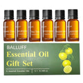 Bakery Essential Oils Premium Fragrance Oil Blueberry Pancake Sugar Qme 06 10mlx6pcs China Mainland