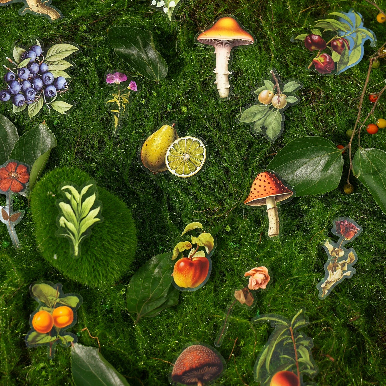 40 Pcs/pack Plant Flower Mushroom PET Stickers Diary Album Scrapbooking Supplies Planner Decorative Stationery Sticker Qme