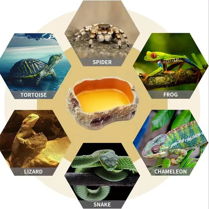 Suitable Indoor Reptile Landscaping 1-piece Rock-shaped Water Food Qme