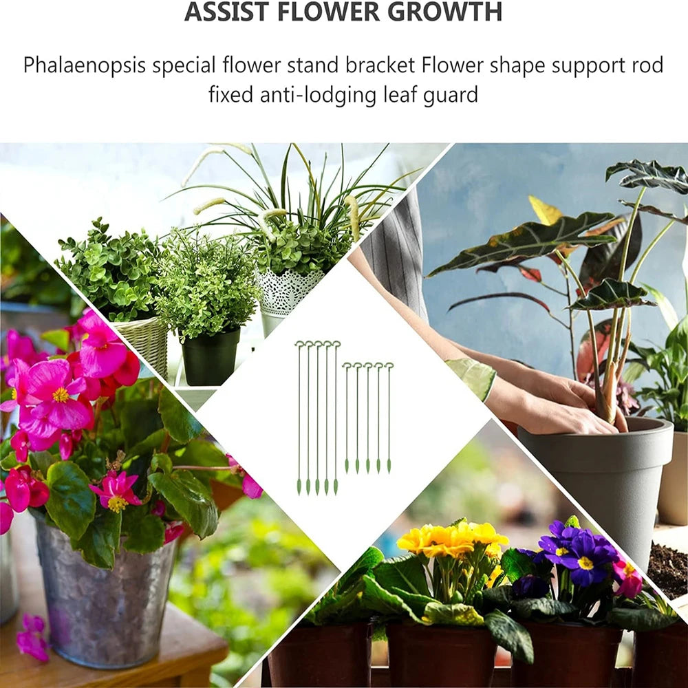 Garden Shaped Support Pole, Flower Stand, Support Plant, Potted Plant, Fixed Flower, Anti Lodging And Leaf Protection Frame Qme