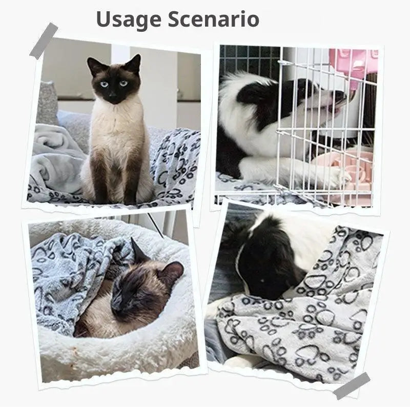 Ultra Soft Fluffy High Quality Pet Blanket Cute Cartoon Pattern Pet Mat Warm And Comfortable Blanket For Cat Dogs Cat Bath Towel Qme