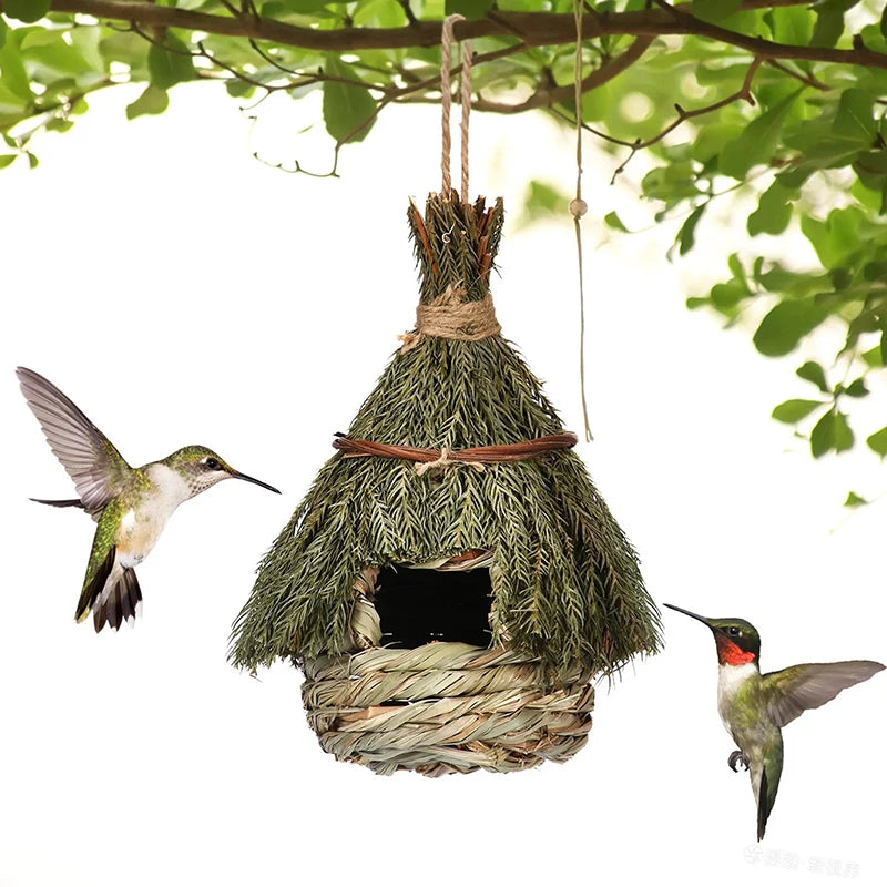 Hummingbird House Garden Outdoor Decoration Window Hideaway Unique Qme