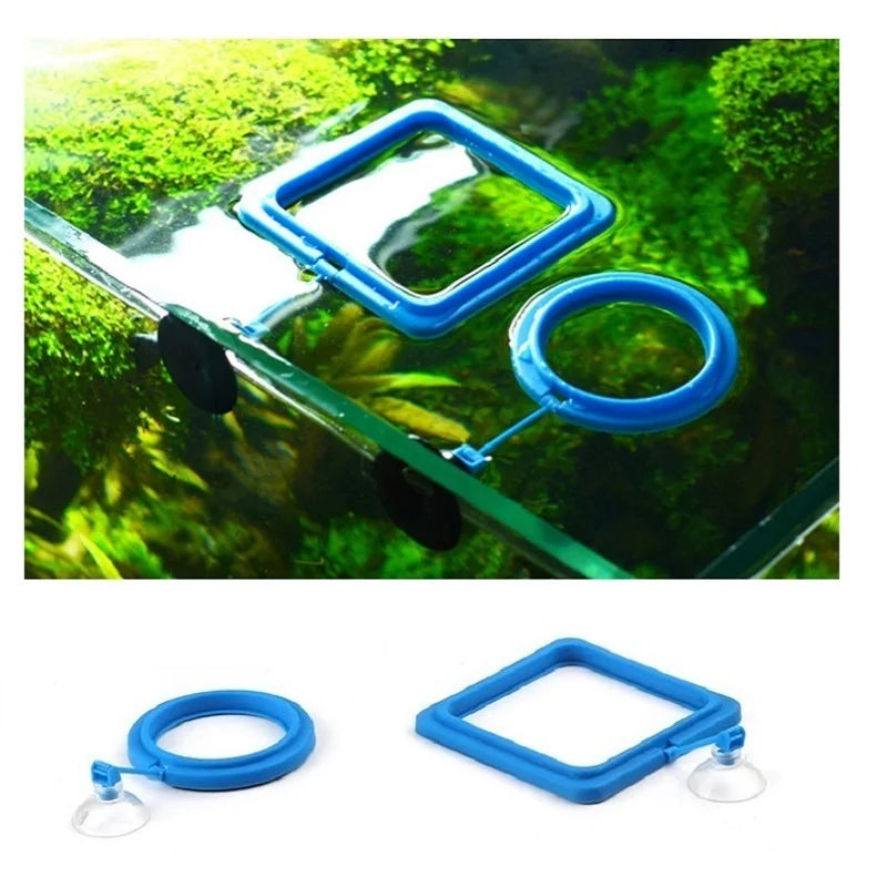 Fish Feeding Ring Feeder Fishing Equipment For Food Flakes Aquarium Mini Accessory Fish Tank Tool Water Koi Tropical Guppy Tetra Qme