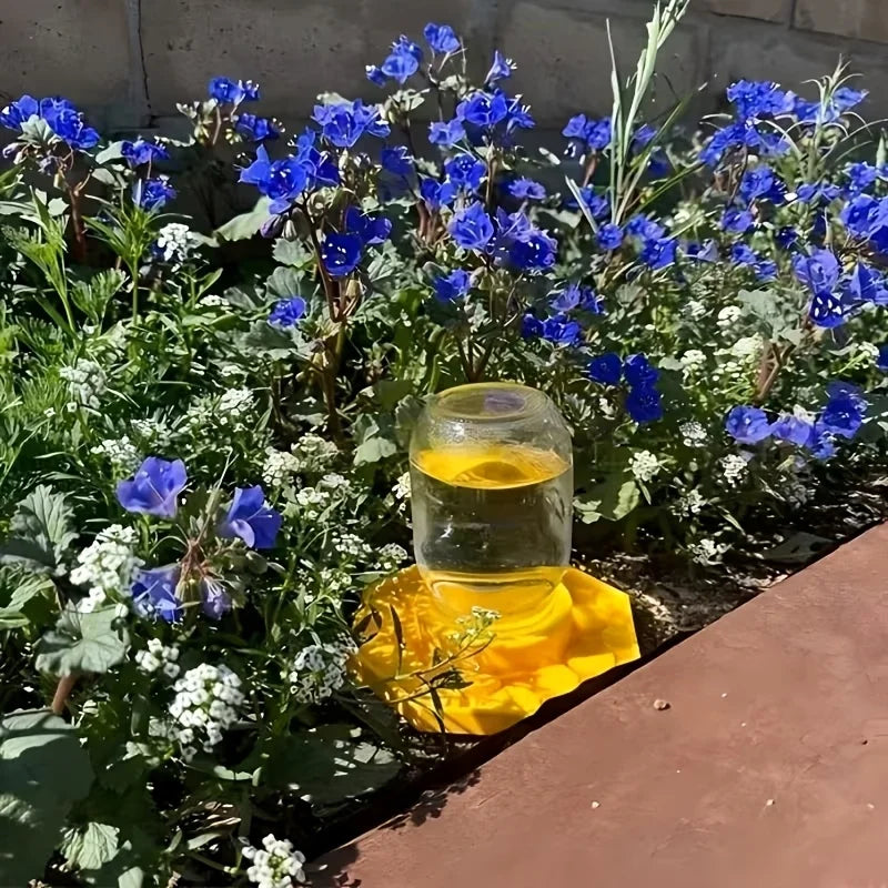 Bee Water Feeder with Perch Safe Honeybee Drinking Station for Garden Patio Beekeeping Supplies, Small-Hole Honeycomb Tray Qme
