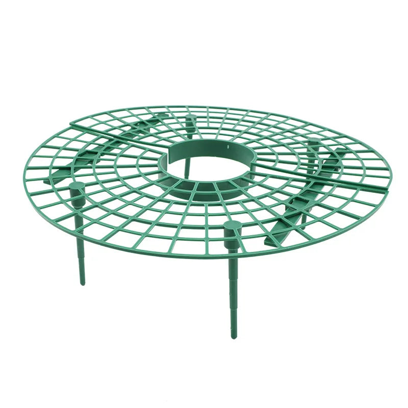 Strawberry Planting Tray Rack Green Plants Anti Lodging Plant Fruit Qme 1 Pcs