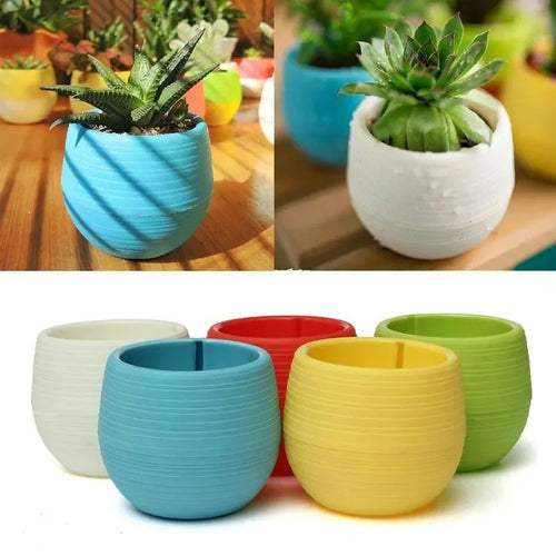 1 Creative Eco-friendly Colourful Mini Round Plastic Plant Flower Pot Qme