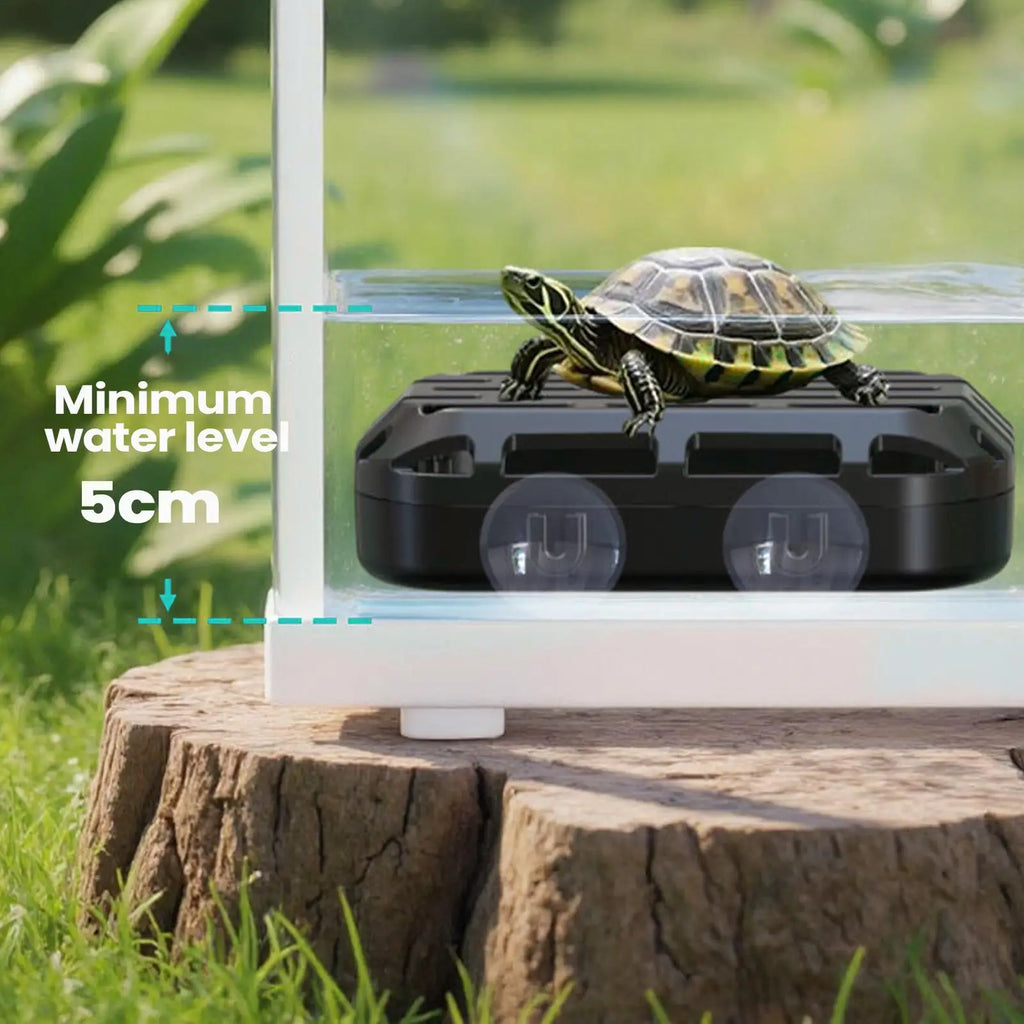 Turtle Poop Catcher Box Suction Cup Reptile Pet Accessories Aquarium Turtle Poop Box for Living Room Hotel Restaurant Apartment Qme