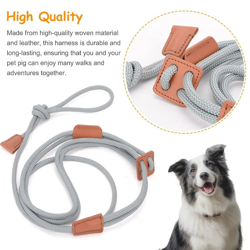 Integrated pet dog leash, nylon strap, adjustable dog chest strap, walking dog leash Qme