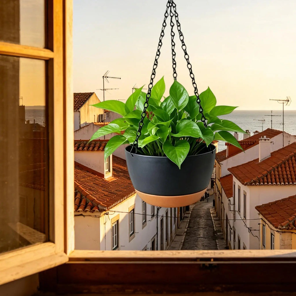 Planters Indoor Plants Hangable Flower Basket Removable Tray Pots Qme