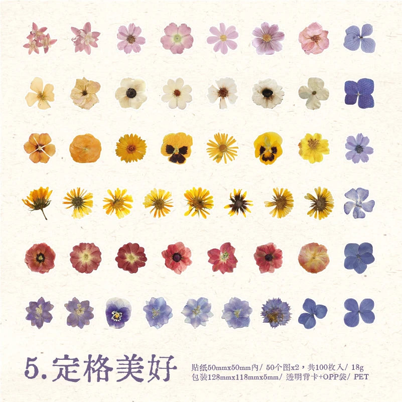 100pcs Flowers Sticker pack Rose Tulip Daisy Transparent Waterproof Plant hand account Decoration Scrapbooking Material Qme E