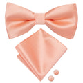 Hi-tie Mens Bow Tie Hanky Cufflinks Light Yellow Brown Floral Clean Qme LDLH2515