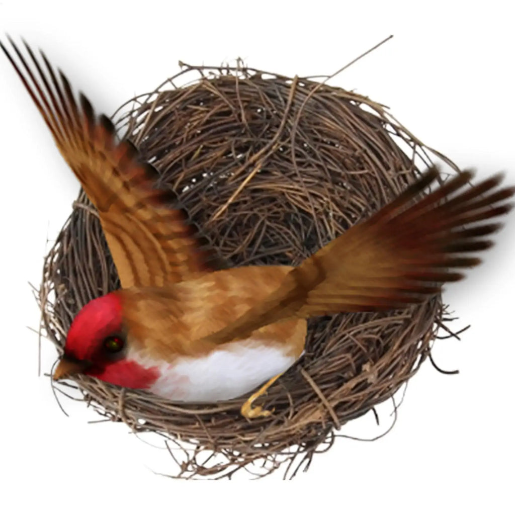 Birds Nest Handmade Woven Parrot Nest Small Animal Bed House For Garden Flat Base Bird Cage Accessories For Parakeet Qme
