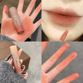 Reddish-brown Stain Lip Mud Waterproof Long-lasting Easy Wear Velvet Qme DB-24-2