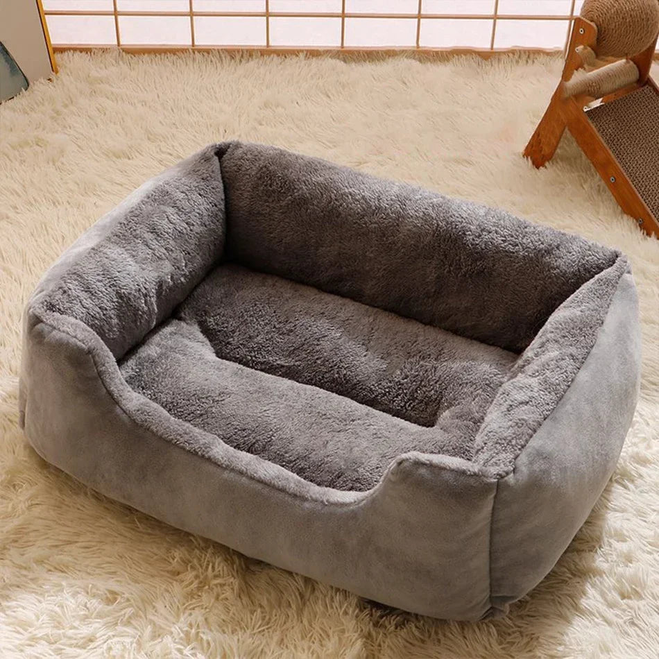 Bed for Cats Pet Products Cushions Kitten Goods Accessories Dog All Houses Supplies Things Accessory Habitats Basket House Beds Qme
