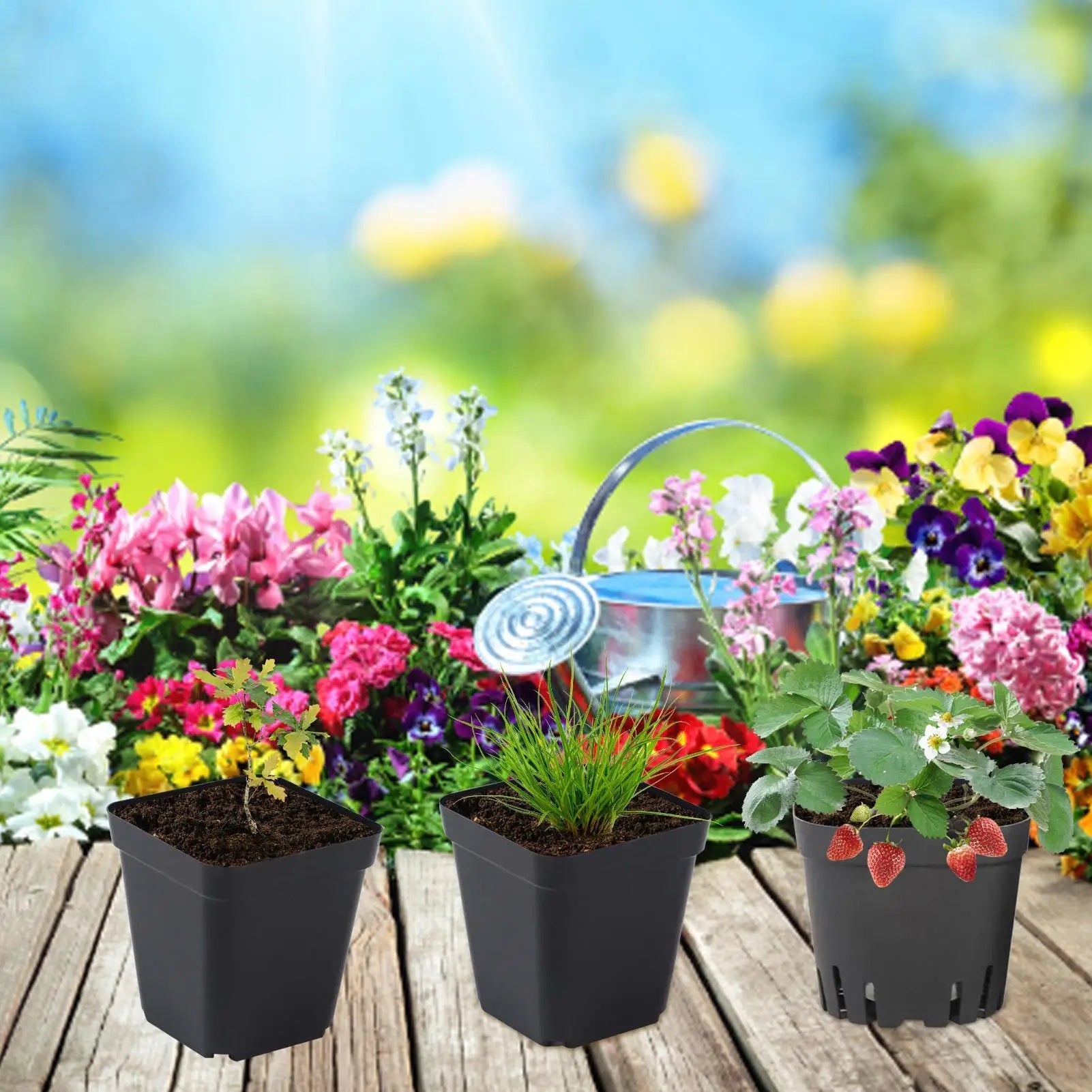 Pots For Seedlings Black Square Seedling Cups 50pcs Starter Pots Seedling Pots Nursery Pot Gardening Kit For Fruits Seedlings Qme