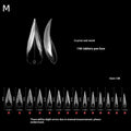 Box Short Curved Stiletto Nail Dual Form Extension 3D Cat's Claw Qme M