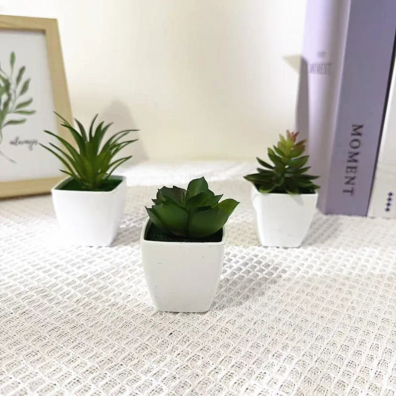 Faux Cactus Arrangements Small Imitation Foliage White Square Planter Qme