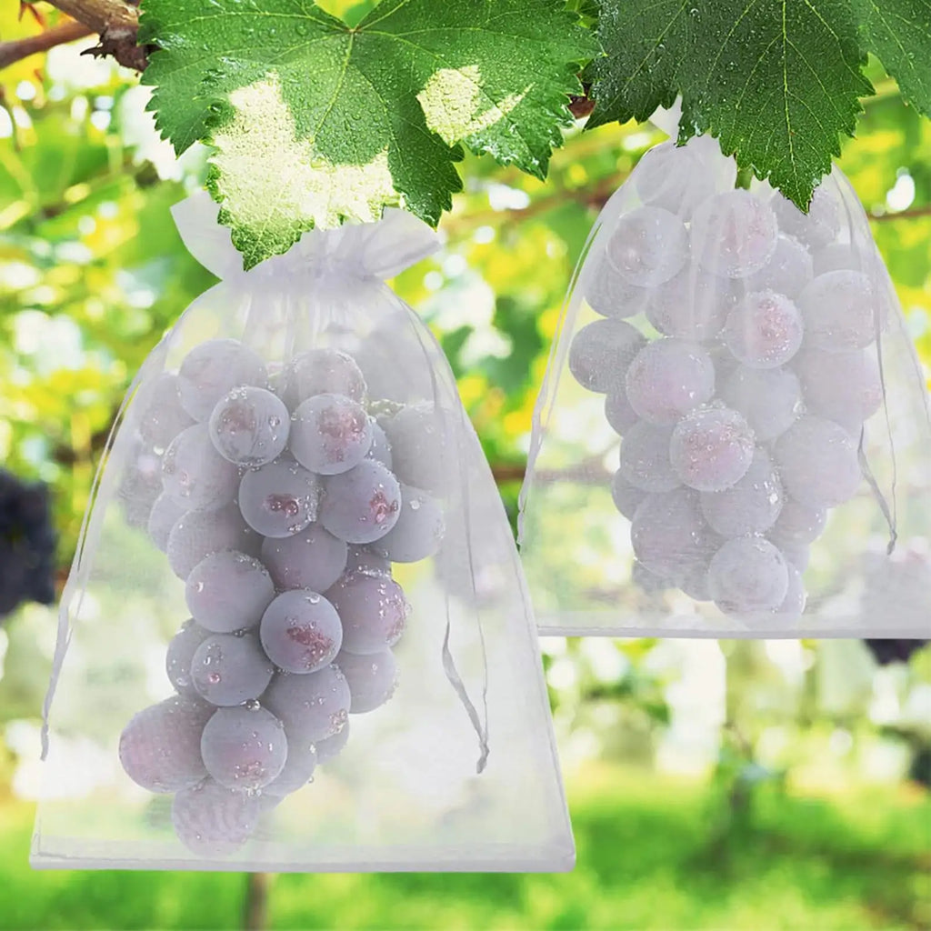 Fruit Protection Bags Reusable Protectors Netting Barrier 100 Pieces Fruit Trees Netting Bags For Grapes Tomato Strawberry Qme China Mainland