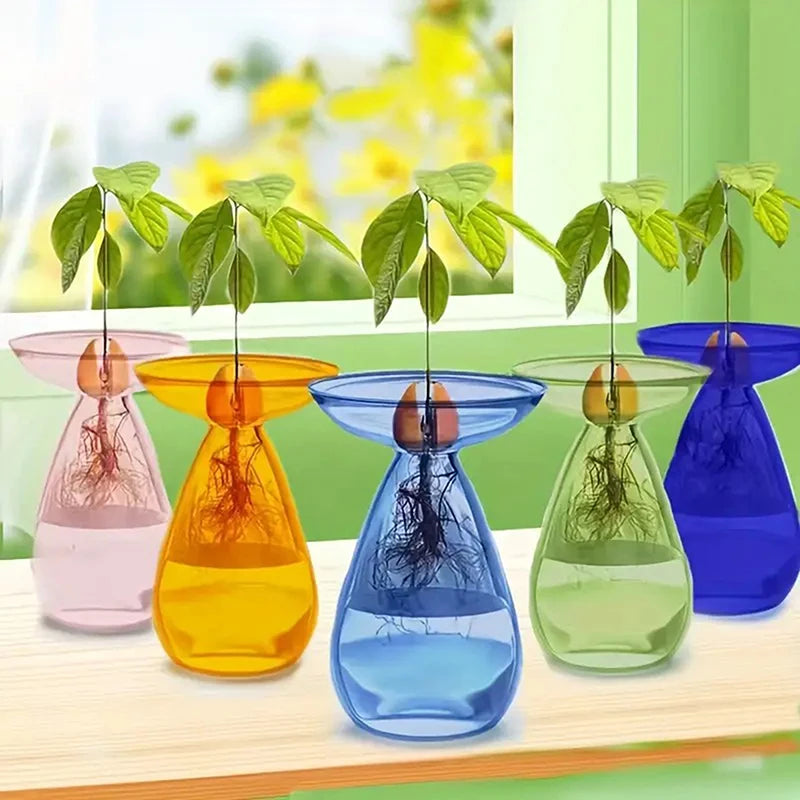 Colorful Transparent Avocado Hydroponic Vase Glass Avocado Seed Starter Vase Plant Seed Growing Kit Gardening Lovers Home Decor Qme