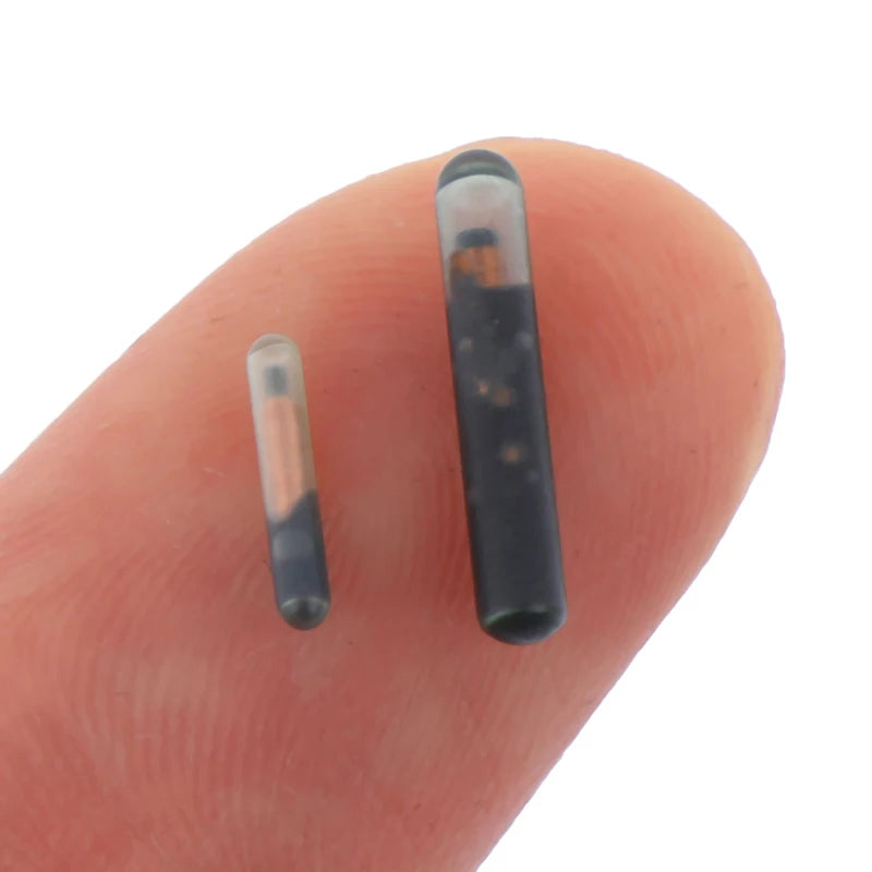 Fish Dog Cat Idetification 134 2KHZ Microchip Animal RFID Tag Qme