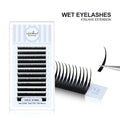 NATUHANA Easy Fanning Lashes Russian Volume Camellia 3D 5D Individual Qme WET C 0.07mm|15mm