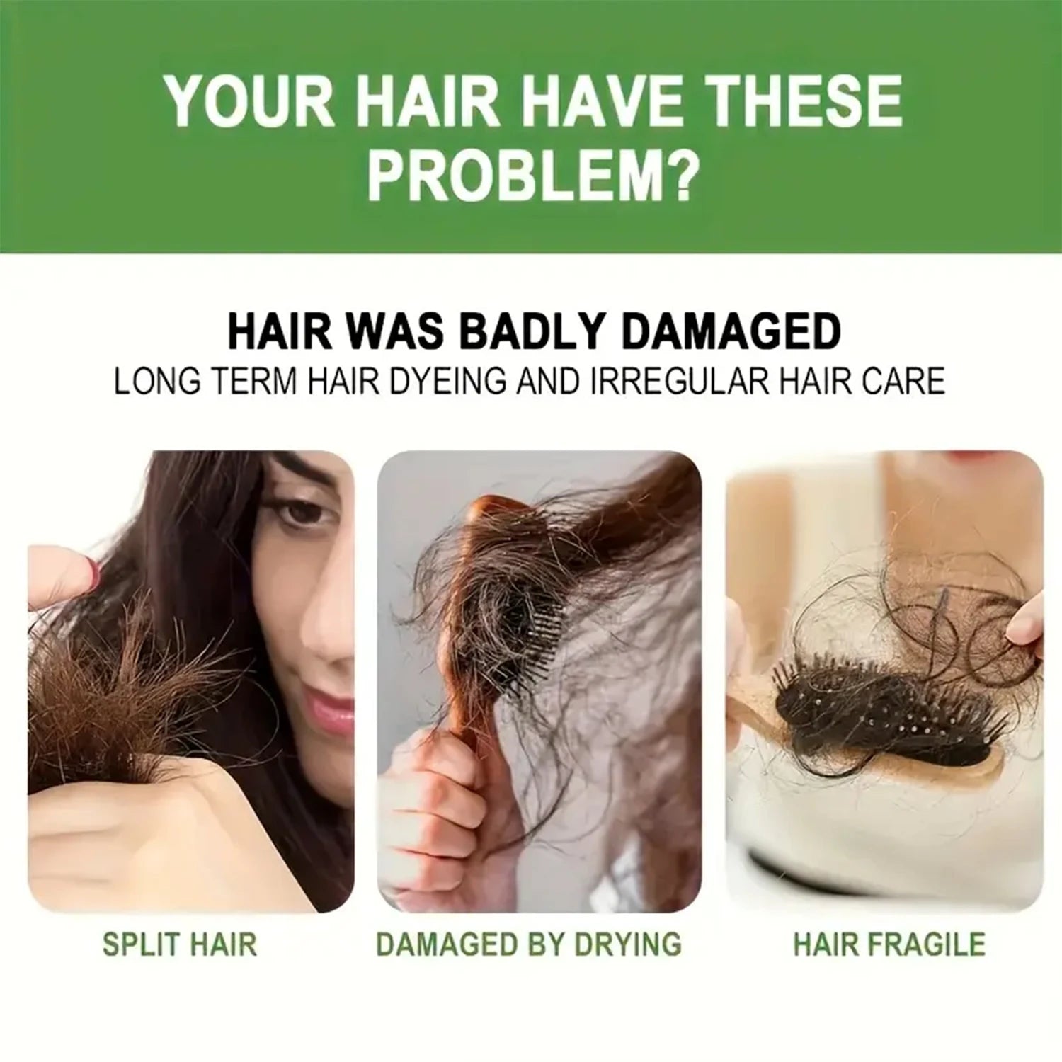Rosemary Amino Acid Shampoo - Cleanses & Nourishes with Ginger Root Extract for Soft, Shiny Hair Qme