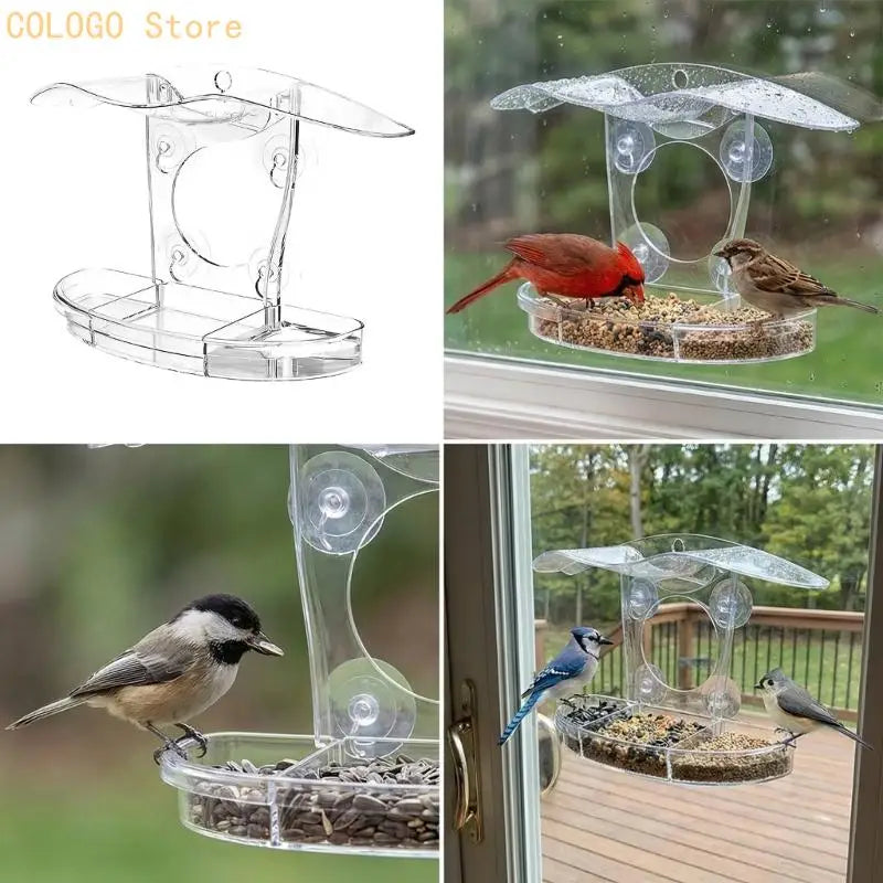 Innovative Viewable Bird Eating Tool Produced Easy Cleaning Handling Qme