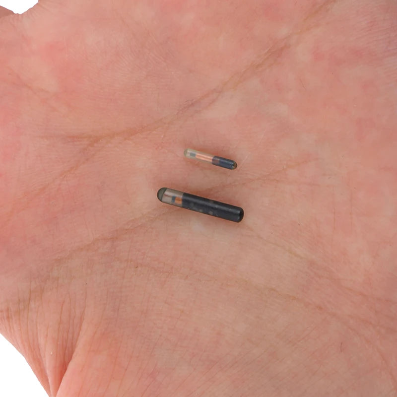 Fish Dog Cat Idetification 134 2KHZ Microchip Animal RFID Tag Qme