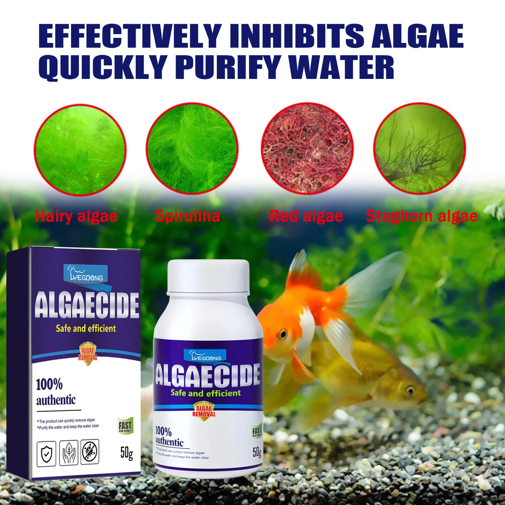 YEGBONG Algae Removal Agent Effectively Remove Algae Purify Water Quality Prevent Water Pollution Fish Tank Algae Removing Moss Qme