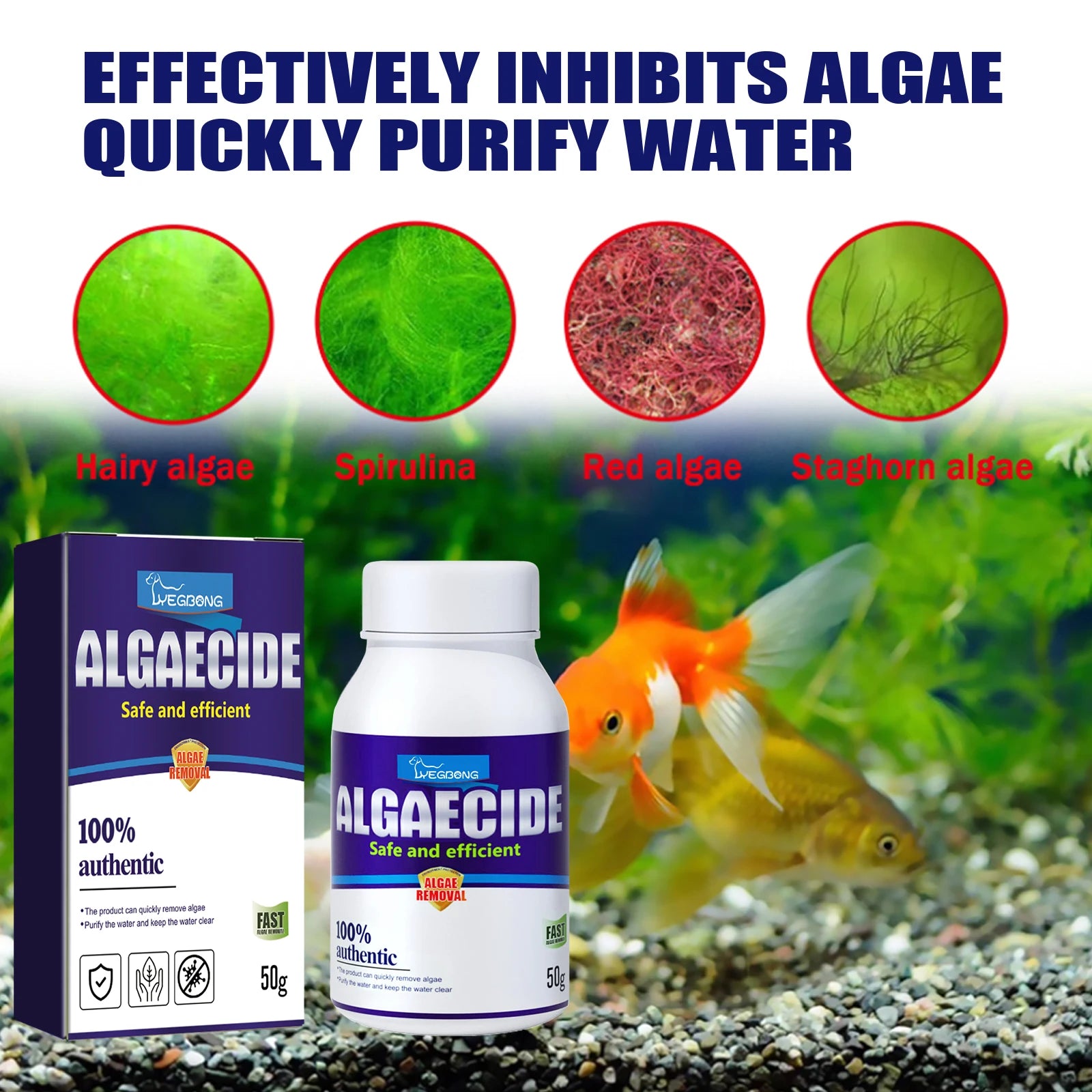 YEGBONG Algae Removal Agent Effectively Remove Algae Purify Water Quality Prevent Water Pollution Fish Tank Algae Removing Moss Qme