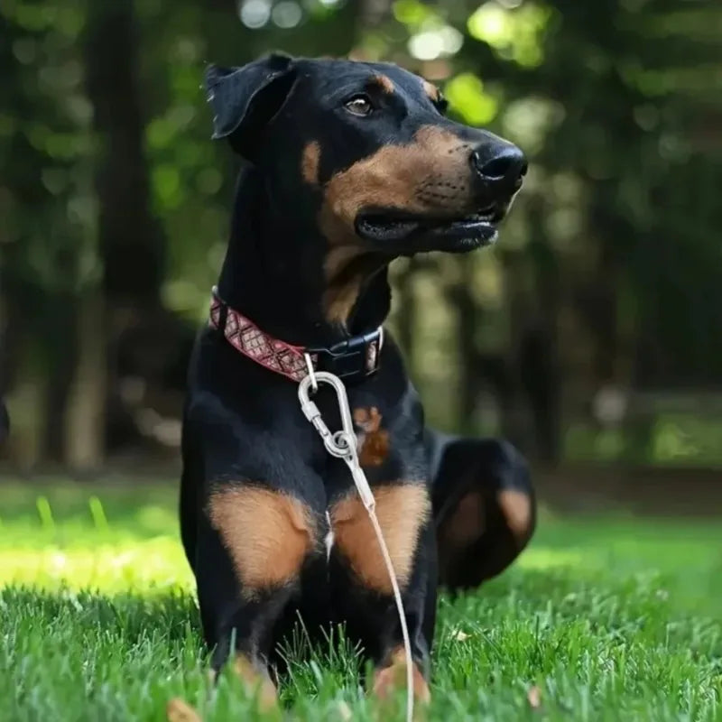 Double-headed Dog Tie Out Cable Leash Reaction Rope Metal Buckle Qme