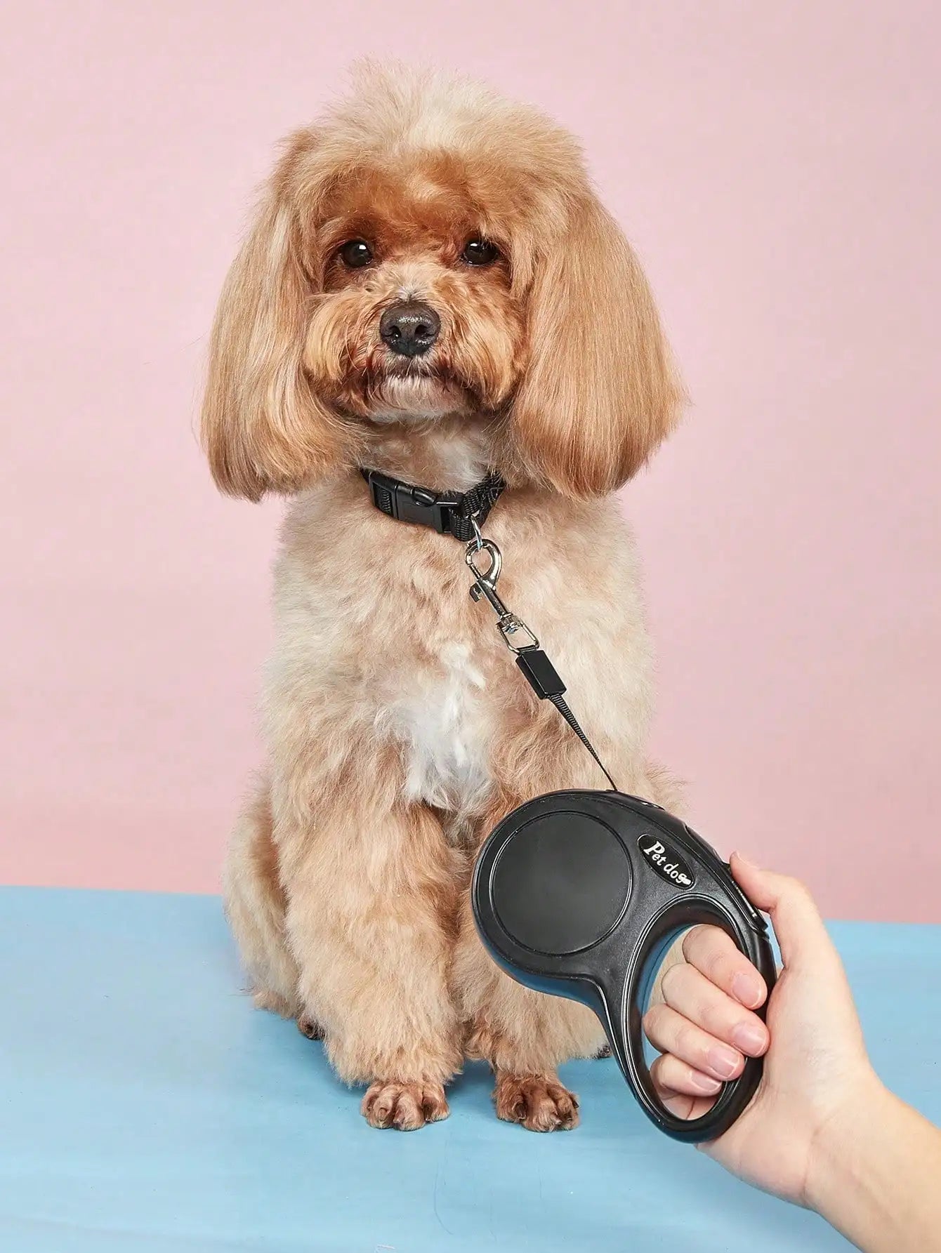 3m 5m Automatic Retractable Pet Leash Suitable Medium Small Dogs Qme