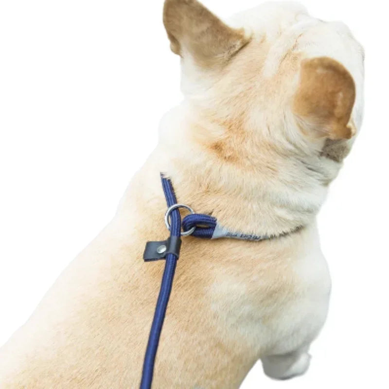 B 1.5M Dog Leash Slip Rope Lead Leash Heavy Duty Braided Rope Adjustable Loop Collar Training Leashes for Medium Large Dogs Qme