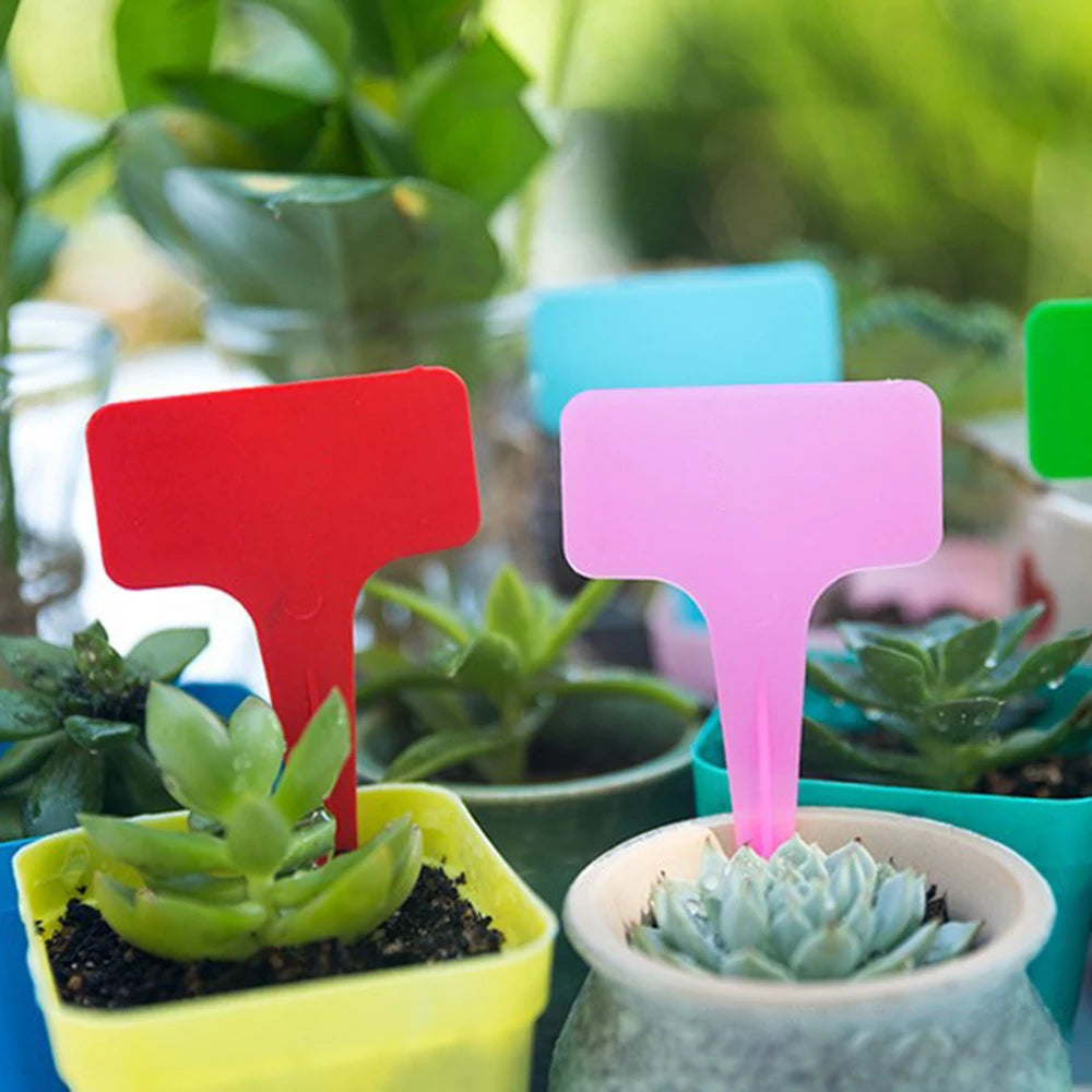 100PCS Garden Labels Plant Waterproof Classification Sorting Sign Tag Ticket Plastic Writing Plate Board Plug In Card Qme
