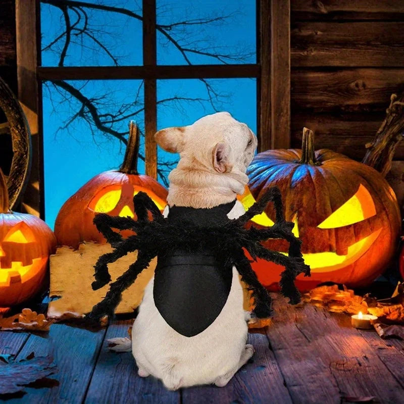 Halloween spider costume, dog and cat costume, role-playing costume, suitable for small dogs and cats, dress up accessories Qme