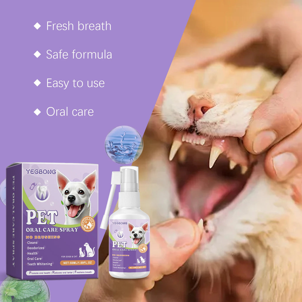 Pet Flea Spray Spray Effectively Removing Fleas Ticks Relieve Skin Itching Natural Ingredients Non Irritating Pet Flea Repellent Qme