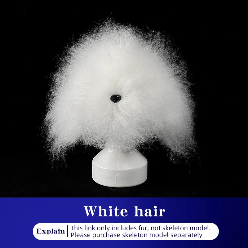 Teddy Pet Simulated Head Hair Fake Dog Head Model Beautician Practice Cutting Dog Hair Dog Body Wig Pet Grooming Student Study Qme Only White hair