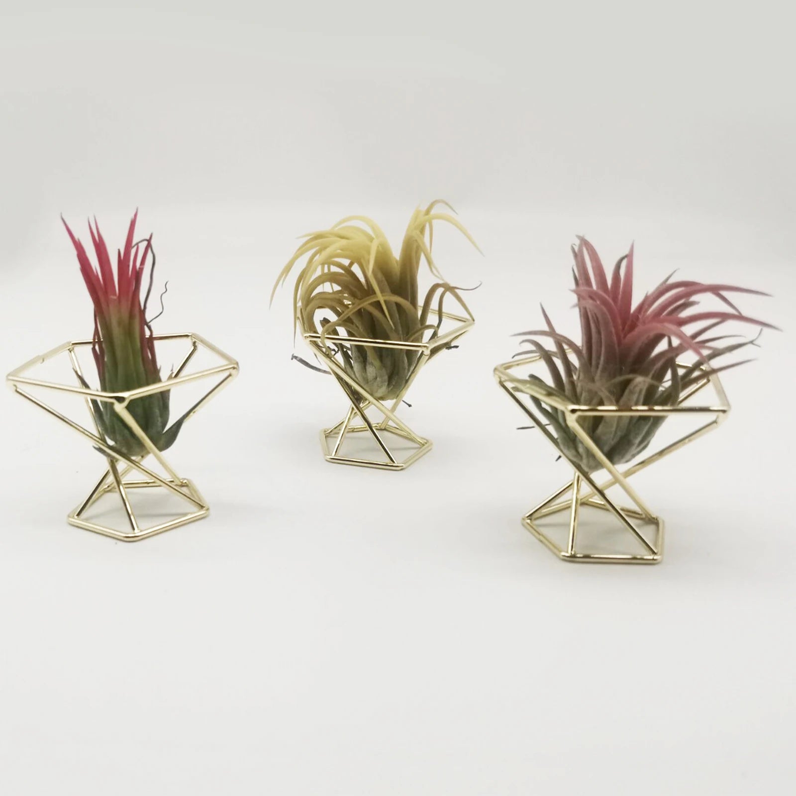Rose Gold Geometric Air Plant Holder Metal Tillandsia Stand Hollow Display Rack Makeup Sponge Holder Home Desk Decor Qme