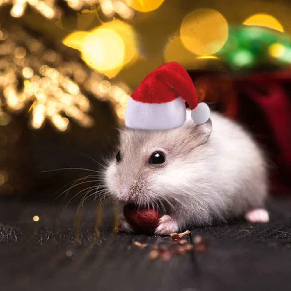 Hamster Hat, Mole Rat Christmas Hat, Little Red Riding Hood, Small Pet Funny Headwear Qme