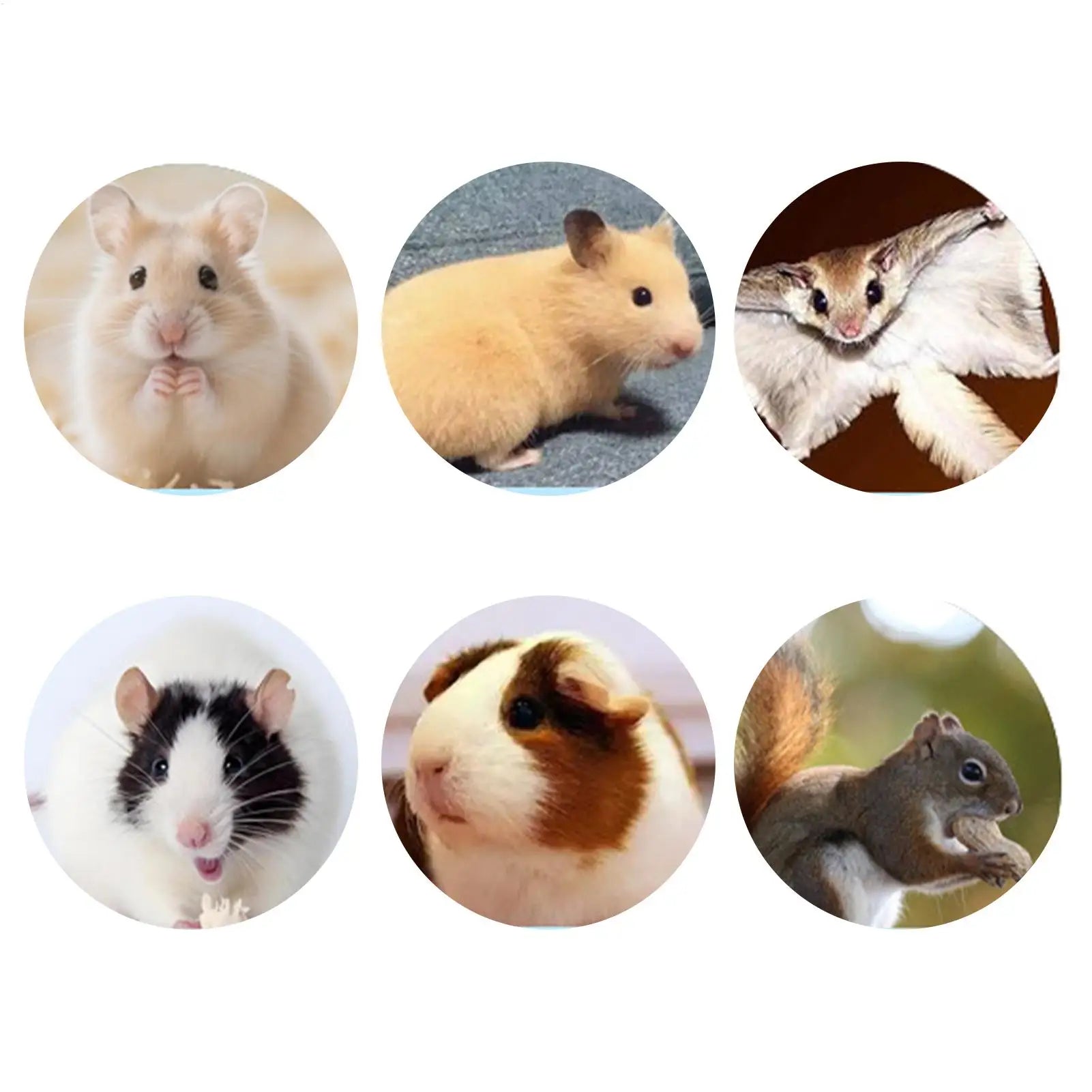 Hamster Substrate Oak Cork Comfort Absorbing Natural Gerbil Nesting Qme